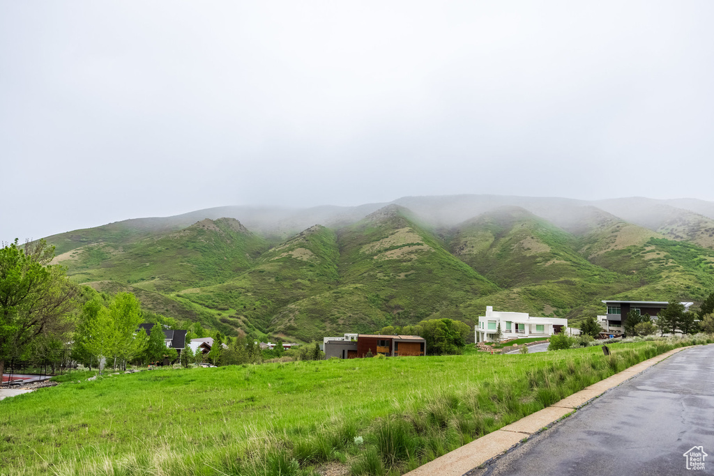 Mountain view
