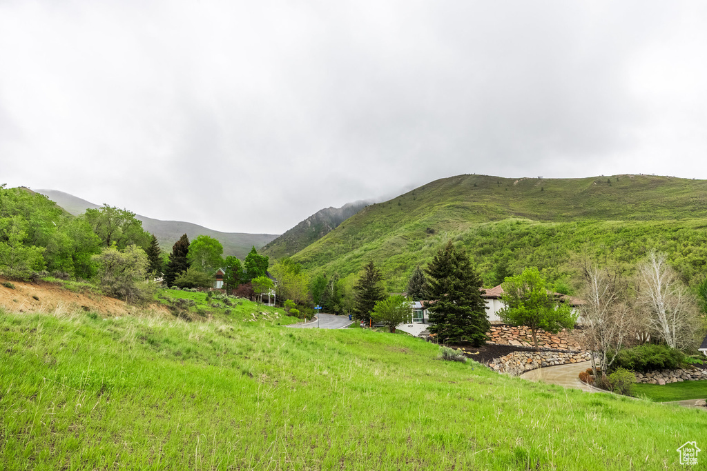 Mountain view