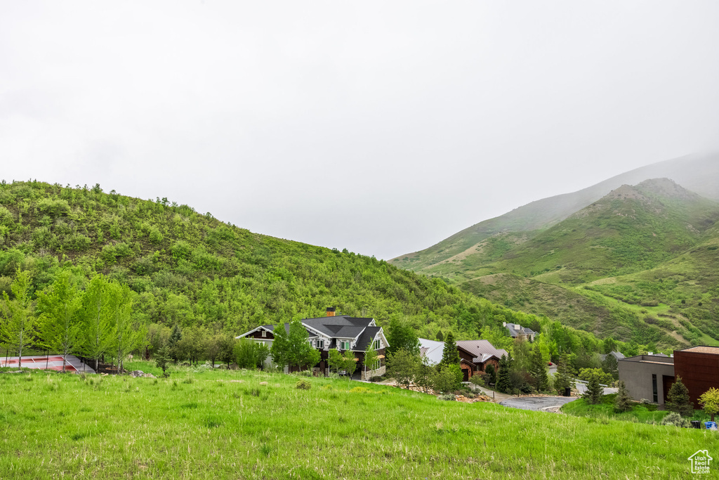 Mountain view