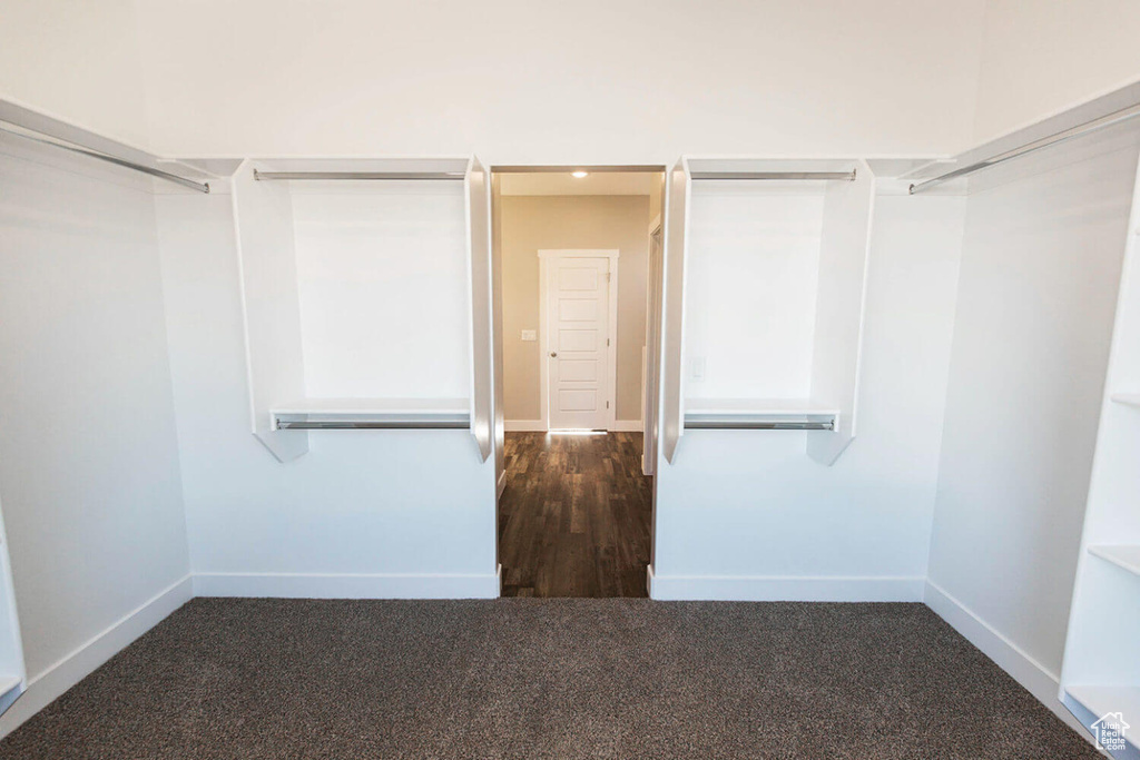 Walk in closet featuring carpet flooring