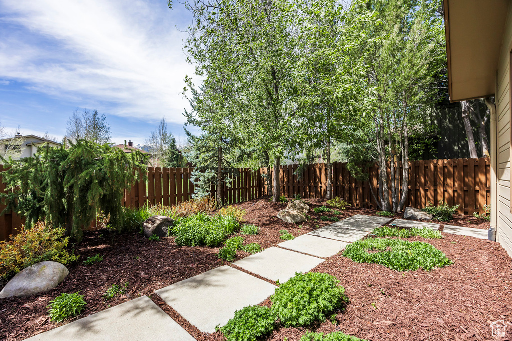 View of fenced backyard