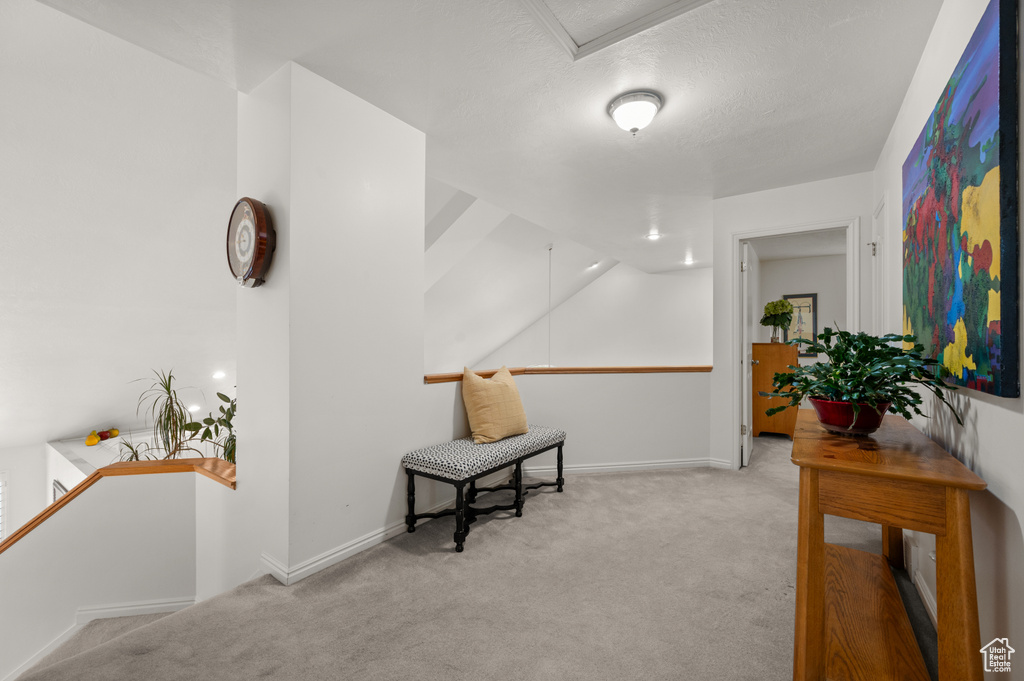 Sitting room featuring carpet floors, baseboards, and a textured ceiling