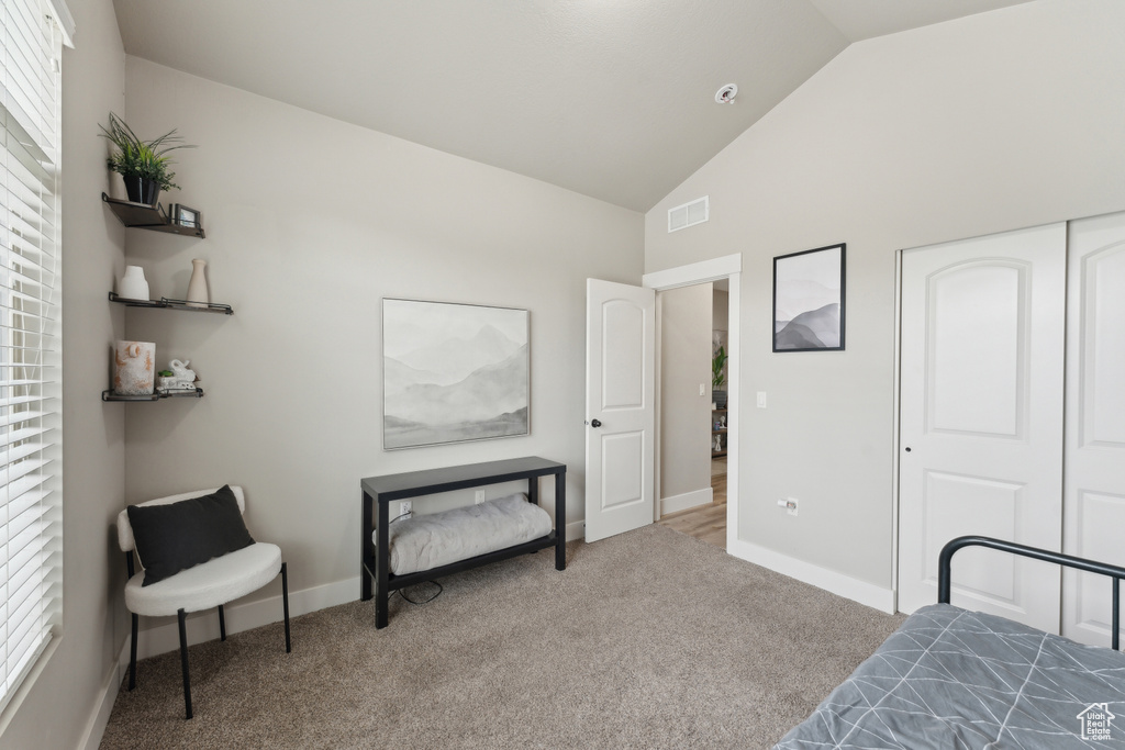 Bedroom featuring carpet floors, baseboards, high vaulted ceiling, multiple windows, and a closet