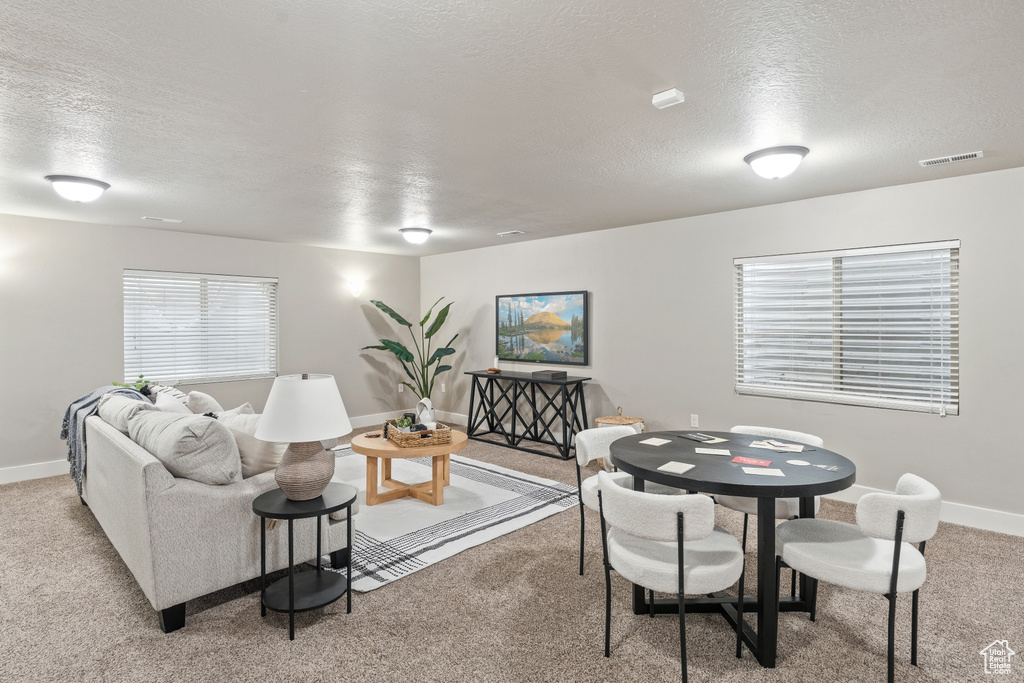 Living room with a textured ceiling, light colored carpet, and baseboards