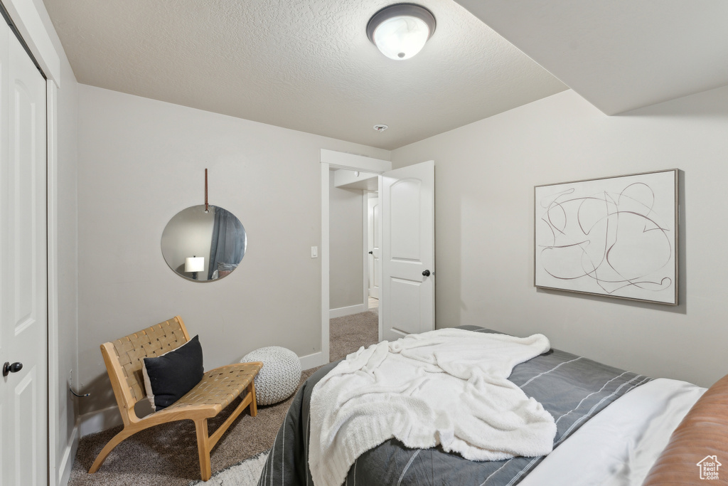 Carpeted bedroom with a closet, baseboards, and a textured ceiling