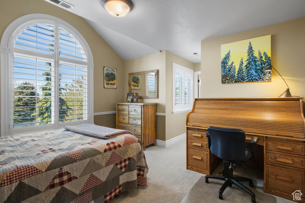 Bedroom featuring light colored carpet, visible vents, baseboards, and lofted ceiling