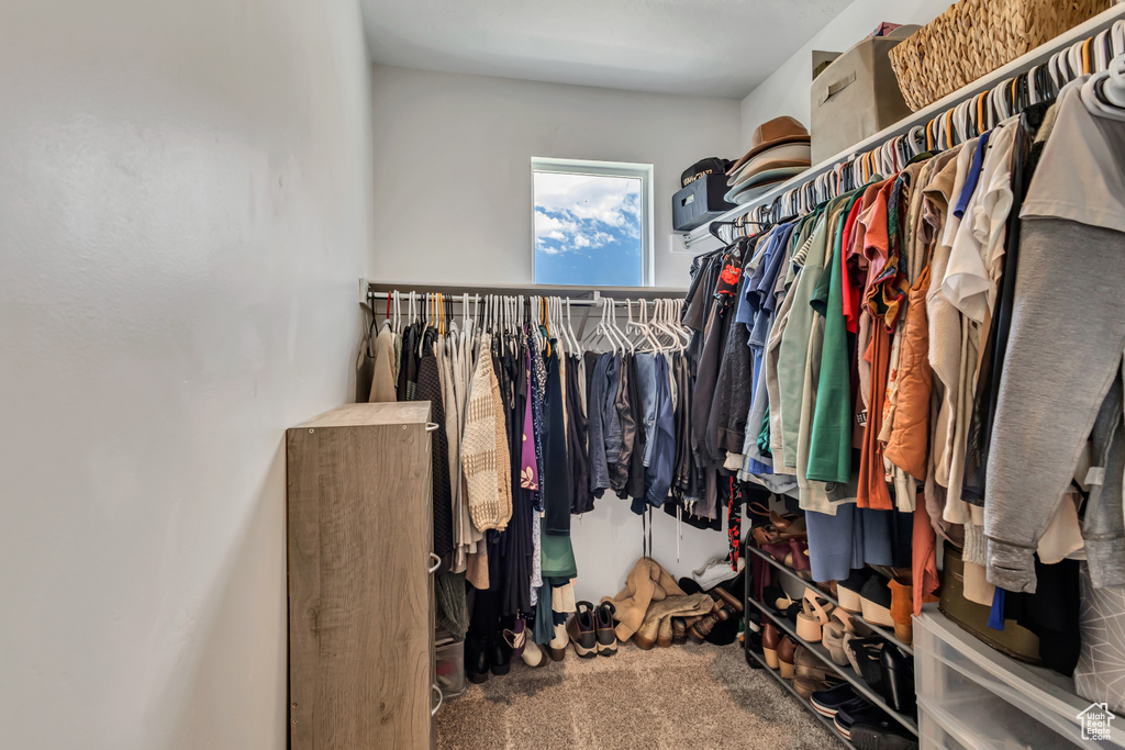 Spacious closet with carpet floors