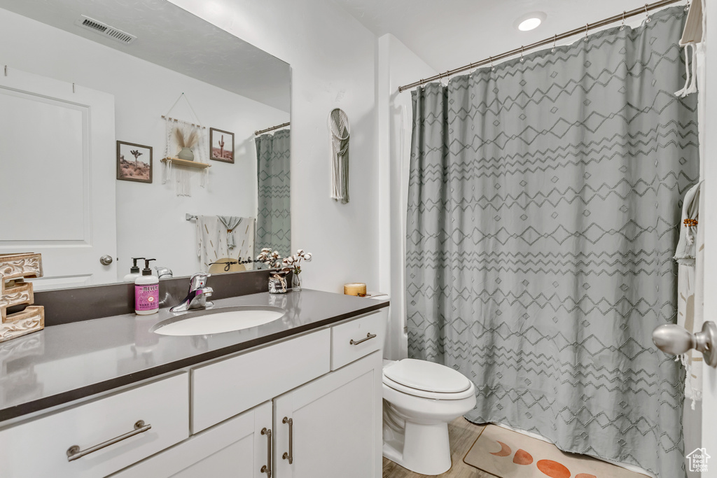 Full bathroom featuring toilet, vanity, and a shower with shower curtain