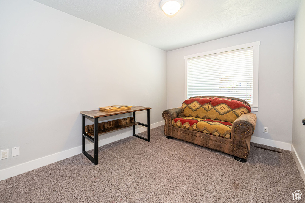 Living area featuring carpet and baseboards