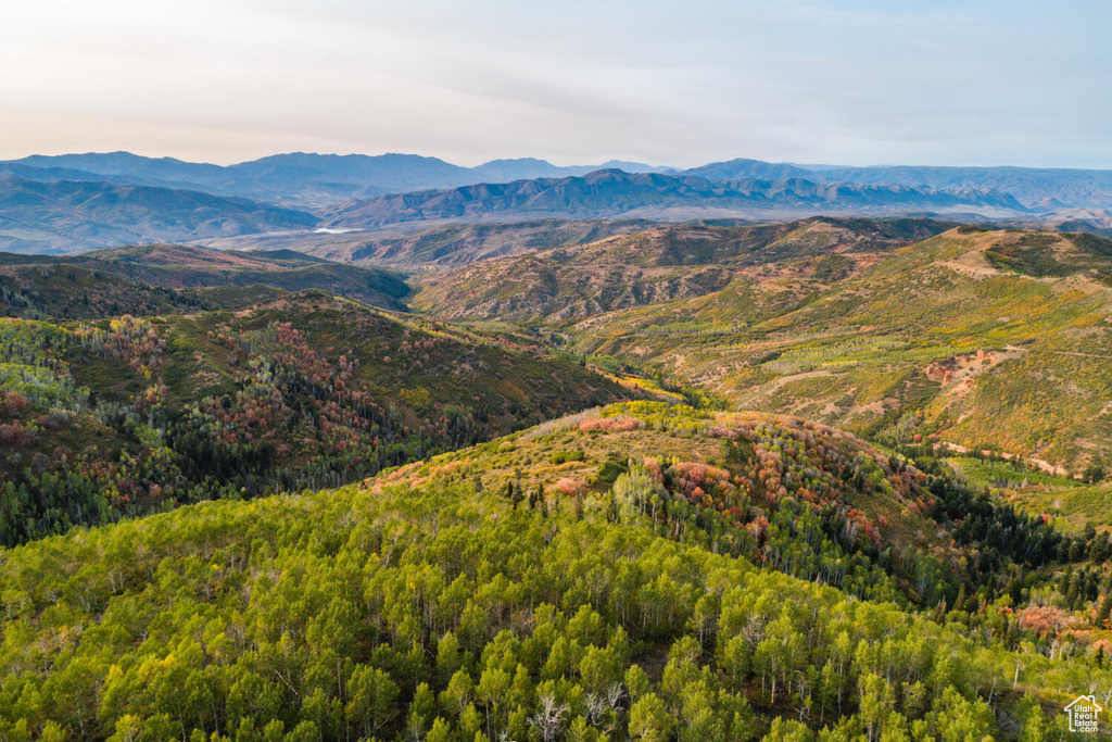 View of mountain backdrop featuring a heavily wooded area