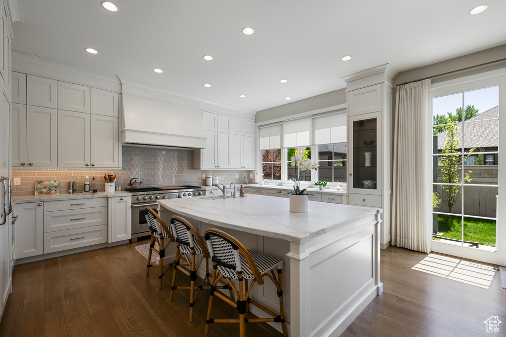 Kitchen featuring premium range hood, high end stove, dark wood-type flooring, tasteful backsplash, and recessed lighting