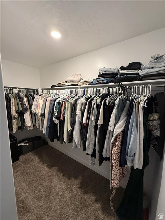 Spacious closet with carpet floors