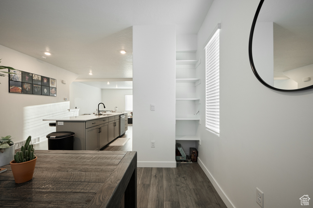 Kitchen with wood finished floors, baseboards, a sink, light countertops, and gray cabinetry