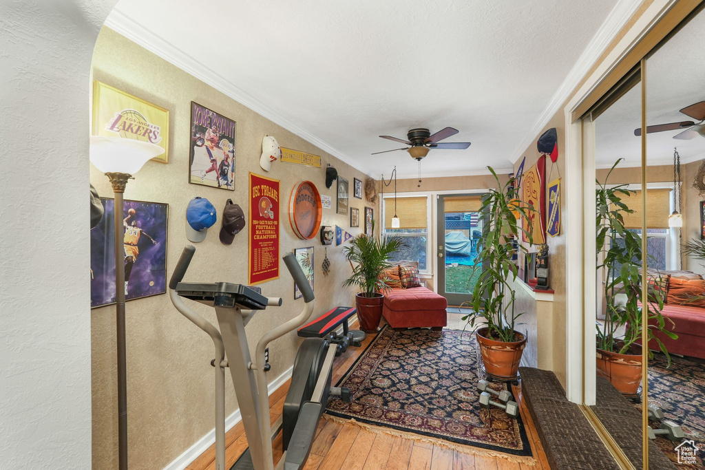 Workout room featuring a ceiling fan, wood-type flooring, crown molding, a textured wall, and baseboards
