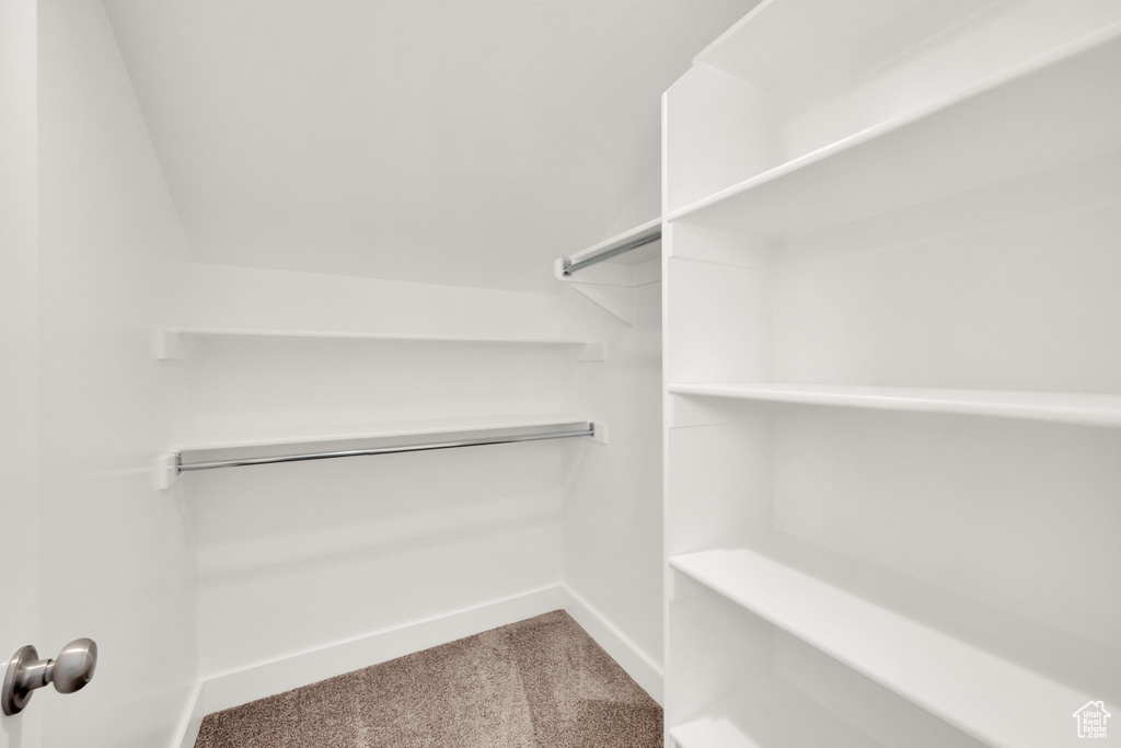 Walk in closet featuring carpet flooring