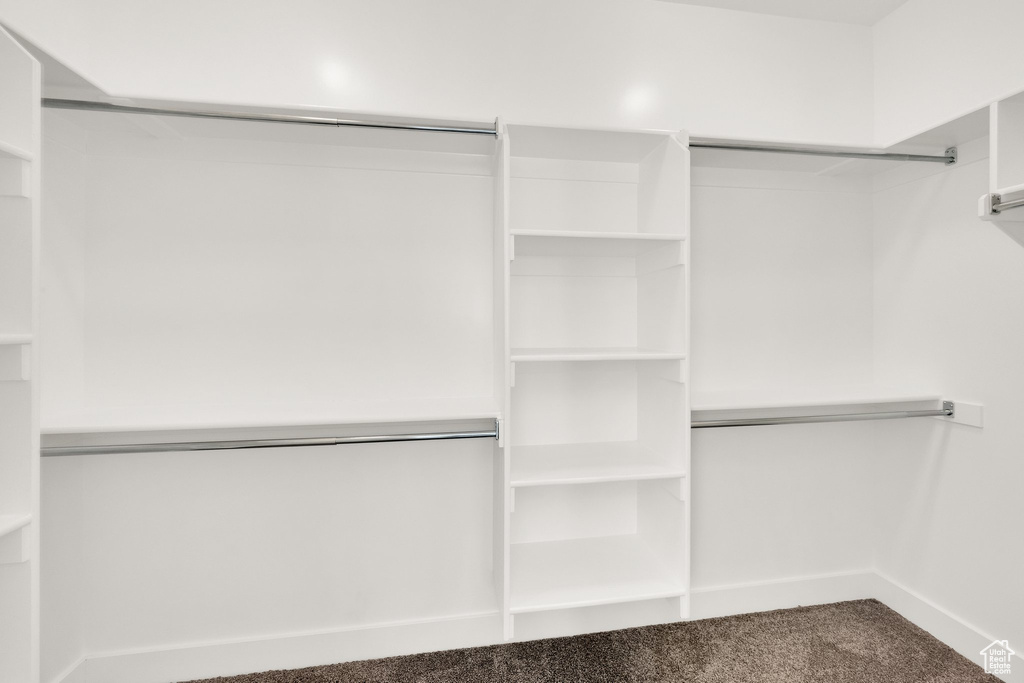 Walk in closet featuring carpet floors