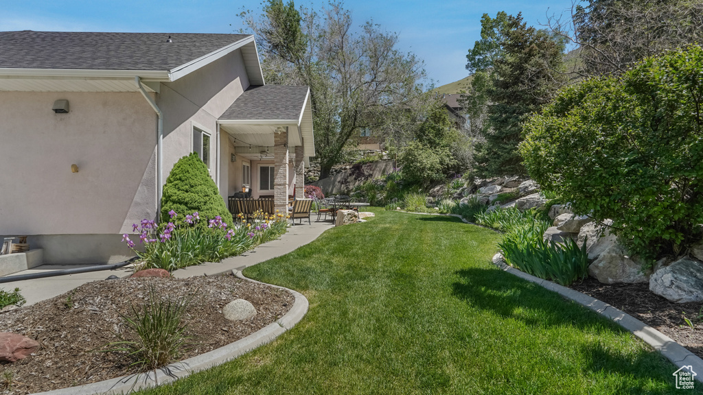 View of grassy yard