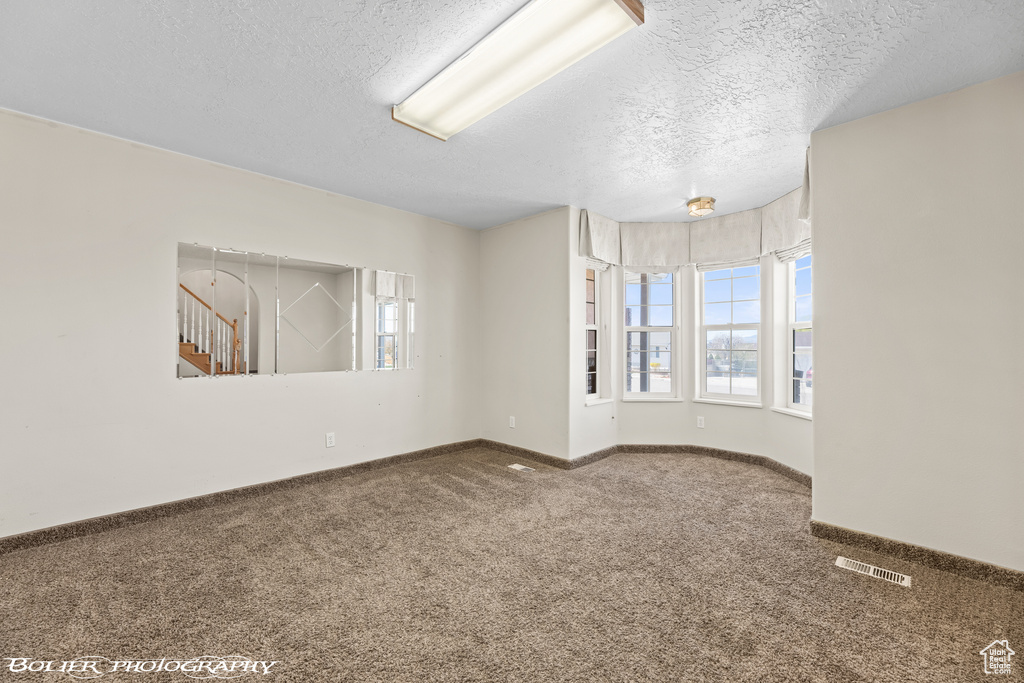 Carpeted empty room featuring plenty of natural light, a textured ceiling, and baseboards