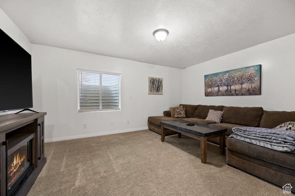 Living room featuring a glass covered fireplace, carpet floors, and baseboards