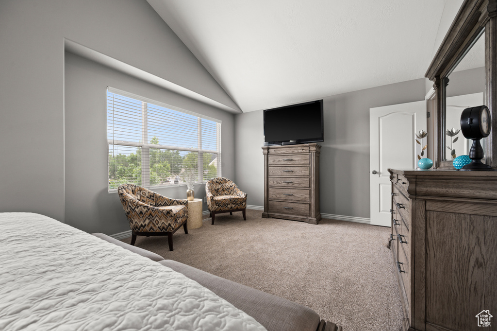Carpeted bedroom featuring baseboards and high vaulted ceiling
