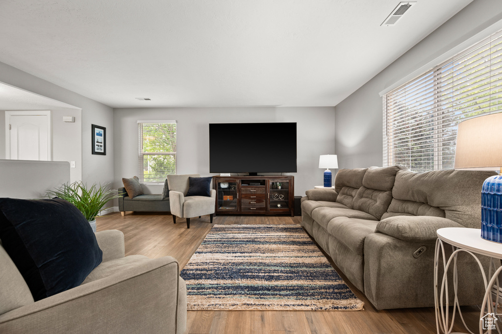 Living room featuring wood finished floors
