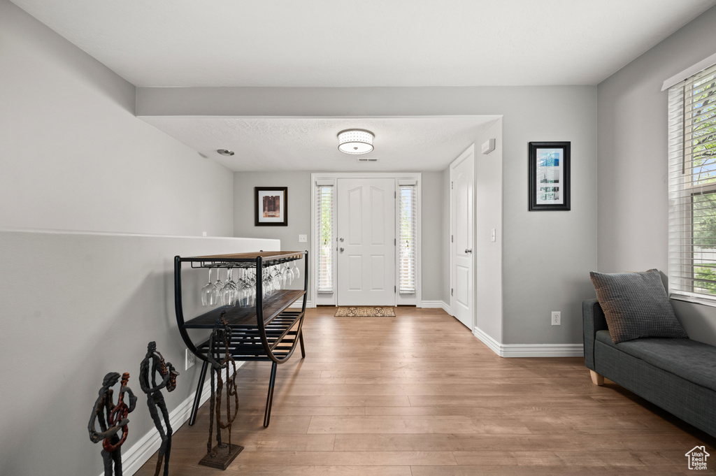 Entrance foyer featuring wood finished floors, healthy amount of natural light, and baseboards