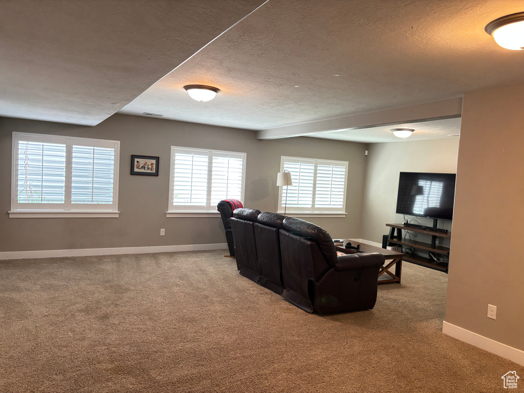 Living area with carpet flooring, a textured ceiling, and baseboards