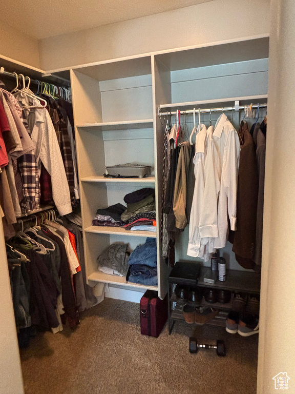 Spacious closet featuring carpet