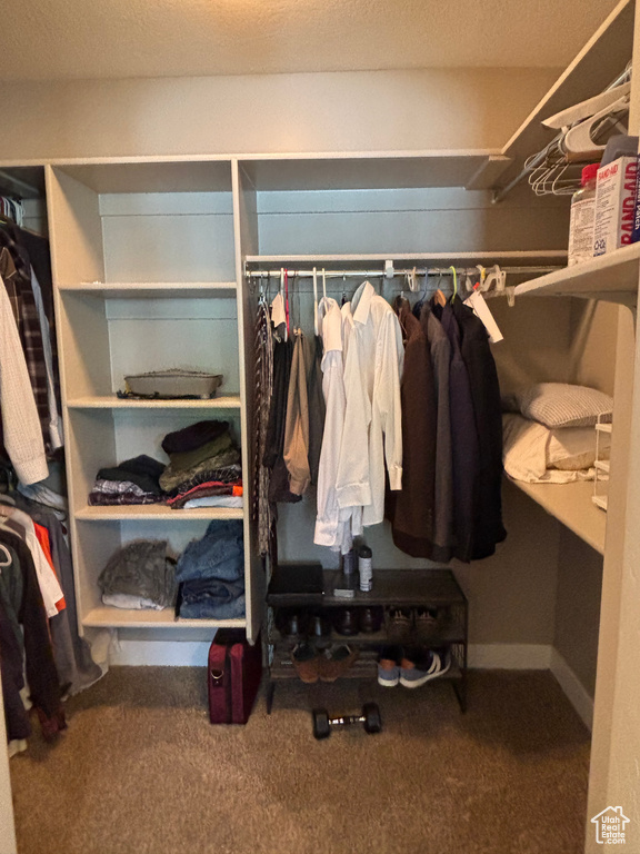 Spacious closet featuring carpet