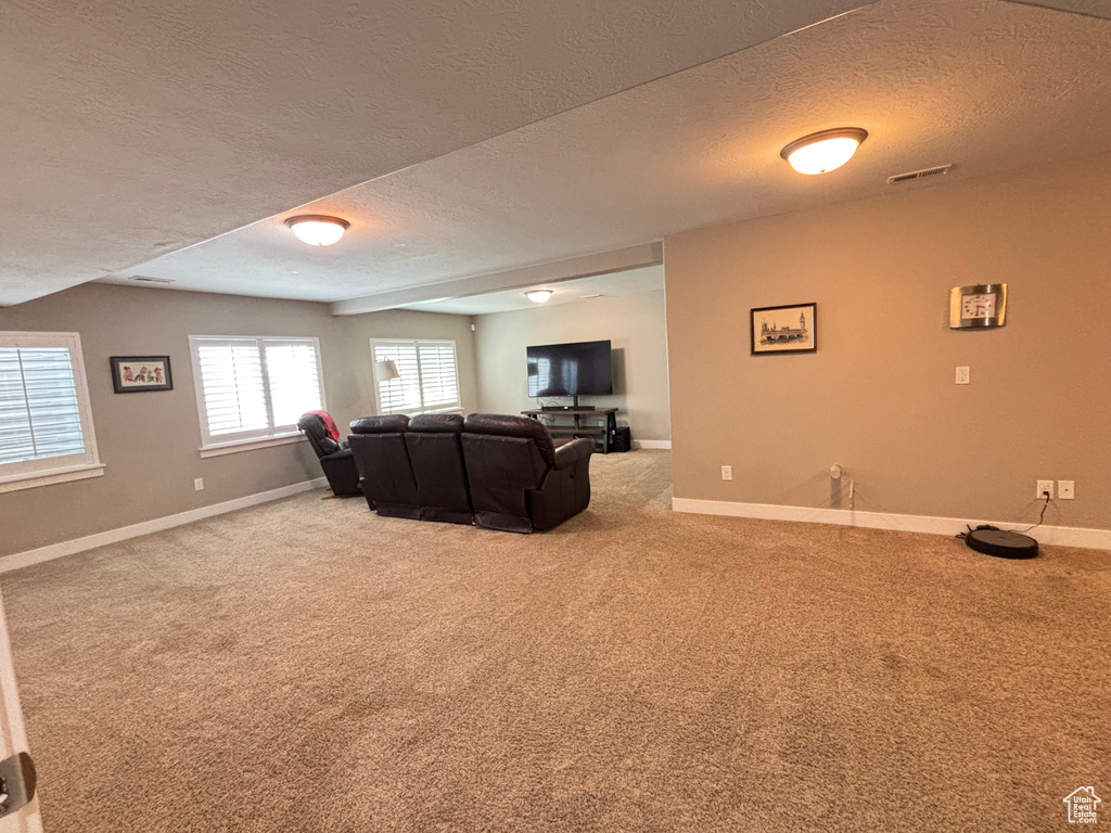 Living room with a textured ceiling, baseboards, and carpet floors