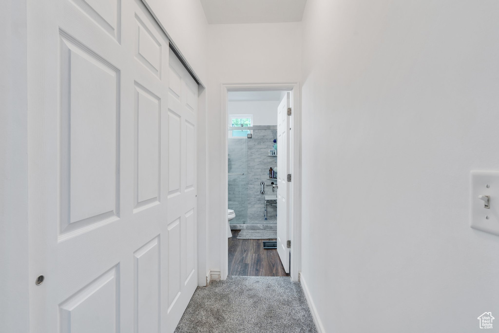 Hallway featuring carpet floors and tile walls