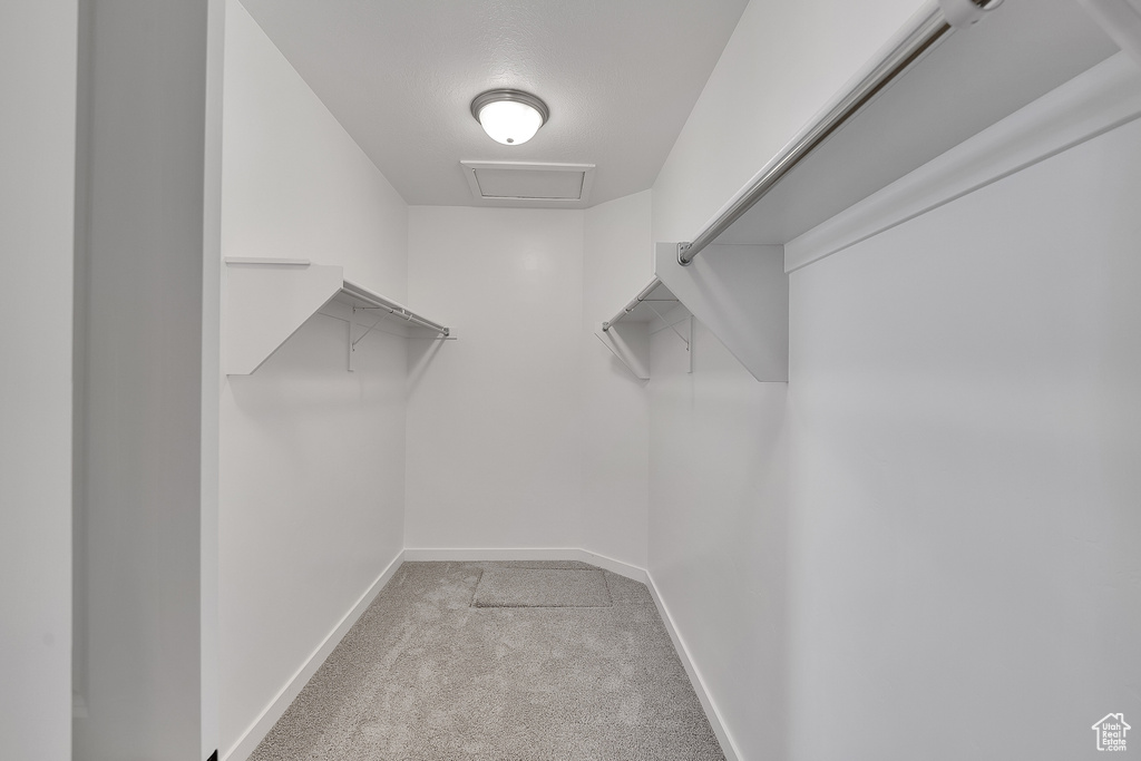 Walk in closet featuring carpet flooring