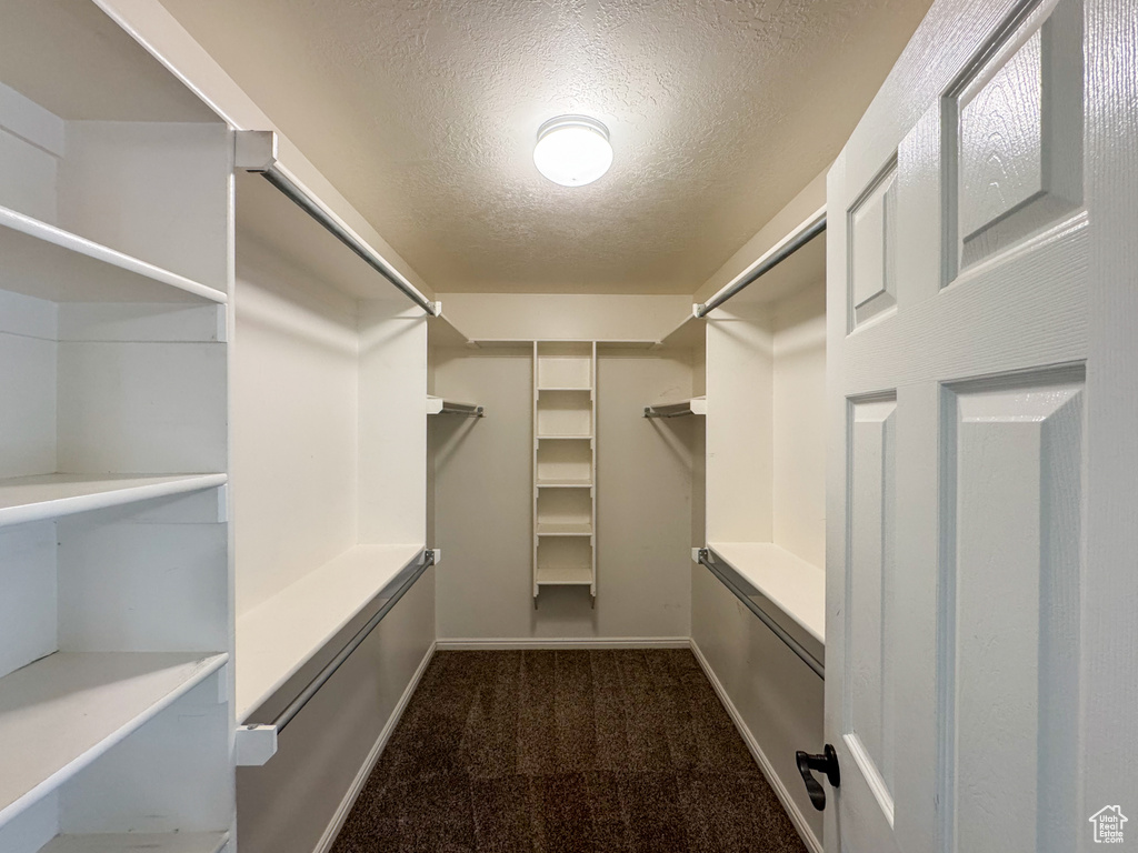 Walk in closet featuring carpet flooring