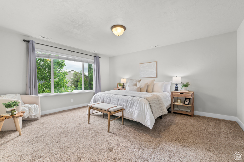 Bedroom featuring baseboards and carpet floors