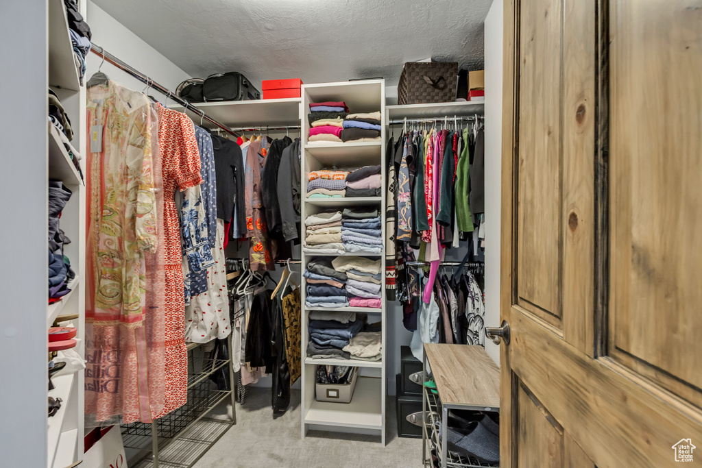 Walk in closet with carpet floors