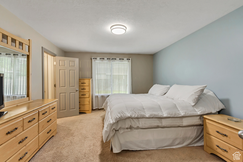 Bedroom featuring light colored carpet, multiple windows, and radiator heating unit