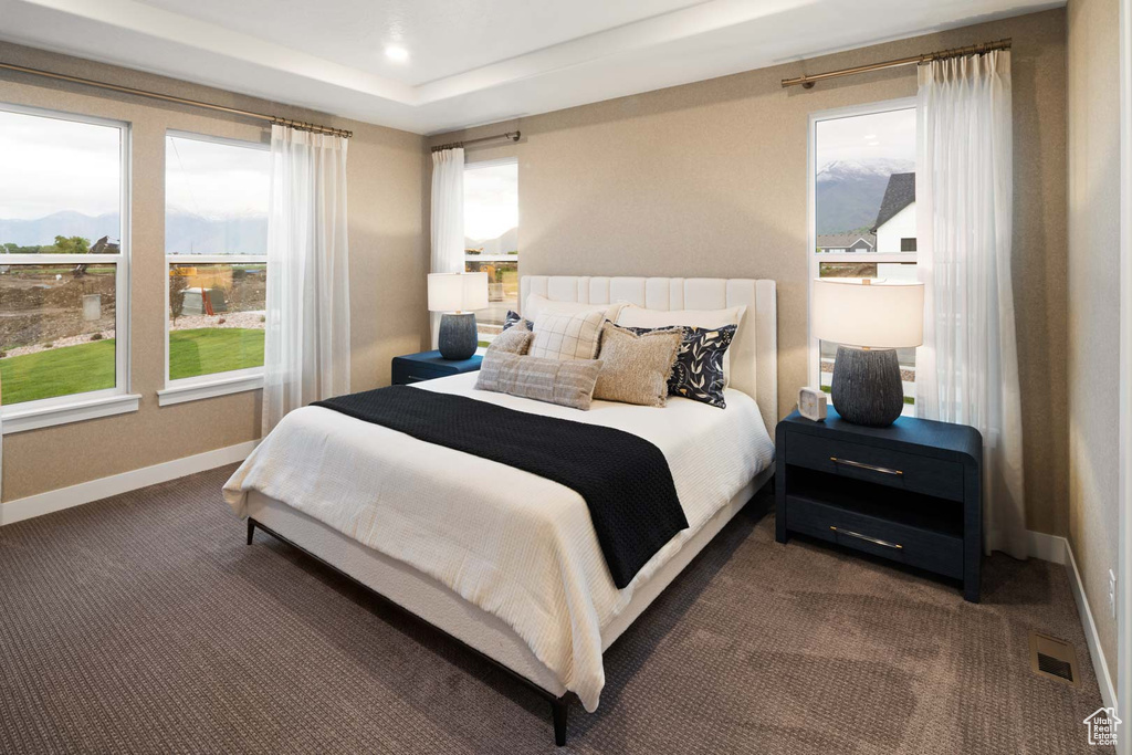 Bedroom with baseboards, dark colored carpet, and a raised ceiling