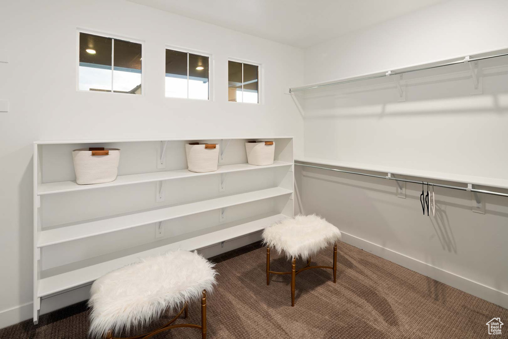 Spacious closet featuring carpet flooring