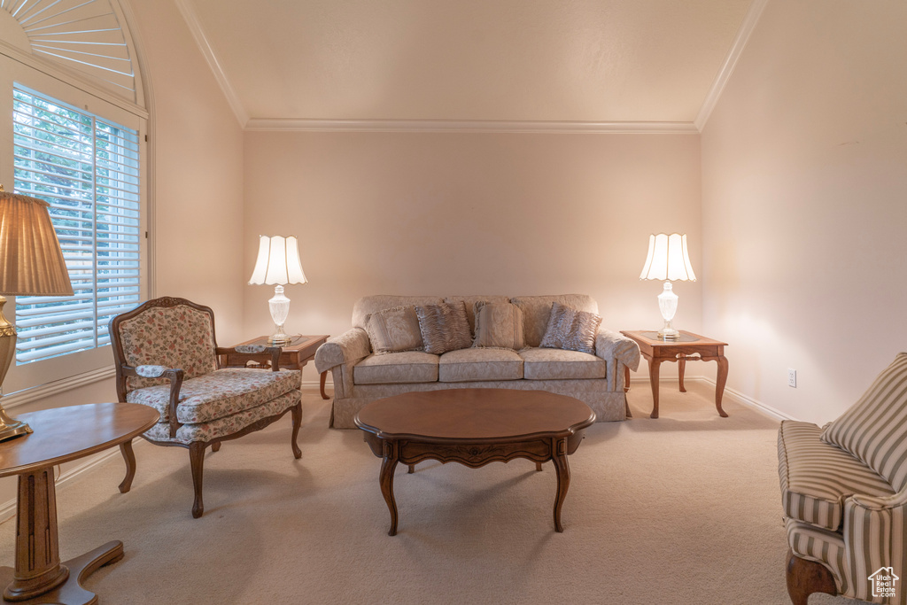 Carpeted living area with ornamental molding and baseboards