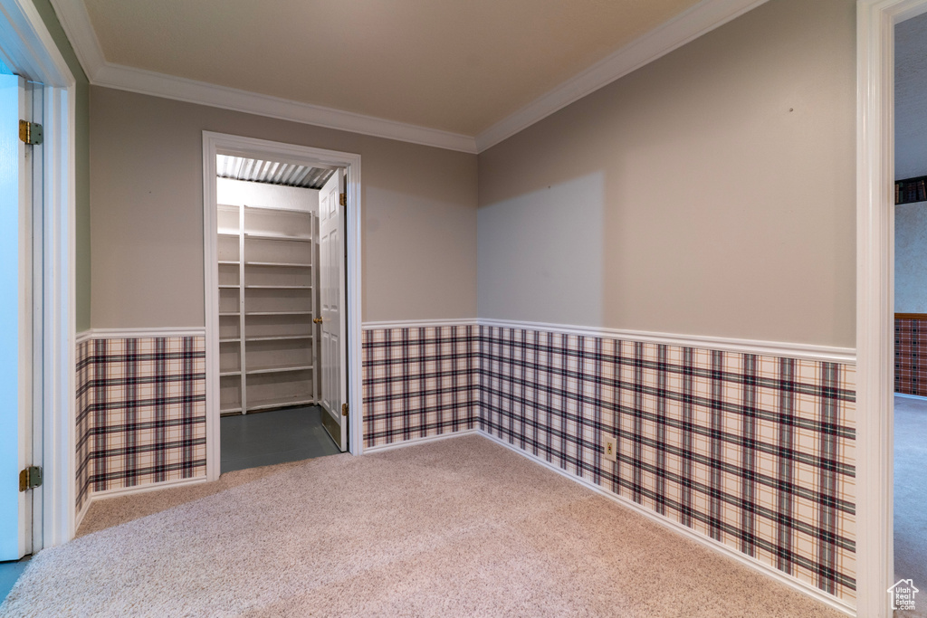 Carpeted spare room featuring ornamental molding and wainscoting