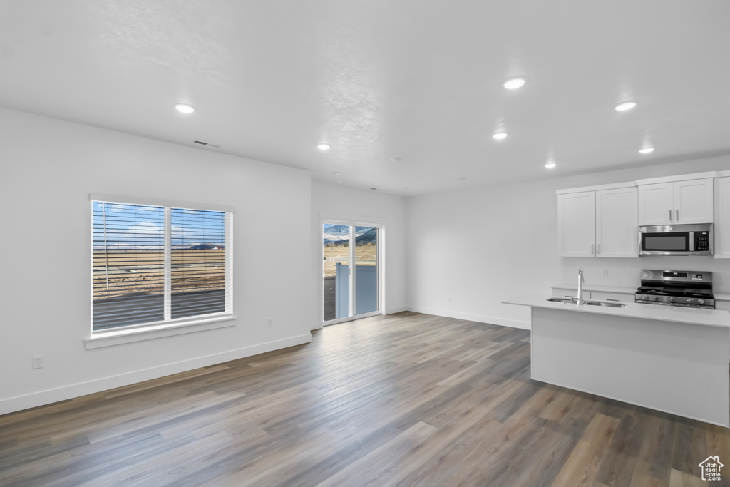 Kitchen with appliances with stainless steel finishes, a sink, open floor plan, wood finished floors, and recessed lighting