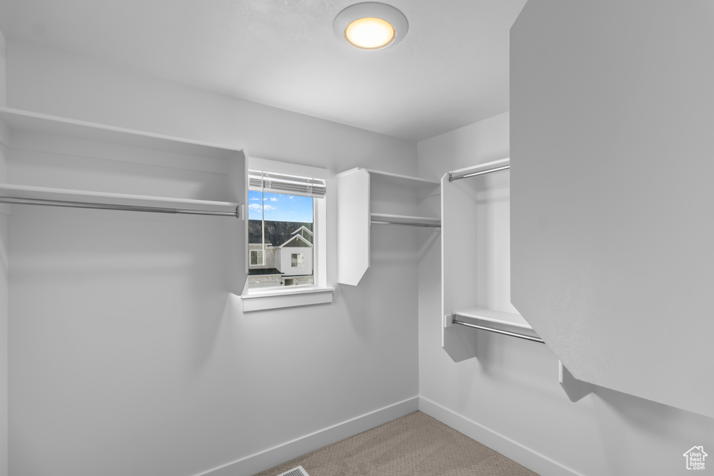 Spacious closet featuring carpet floors