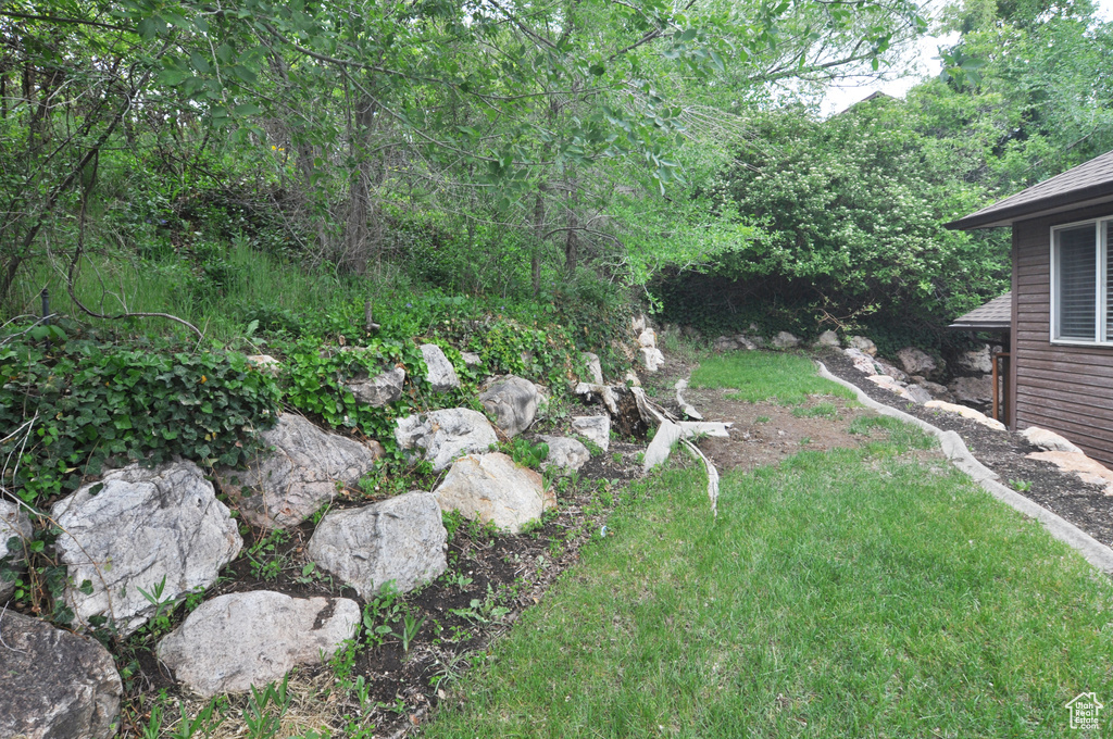 View of green lawn