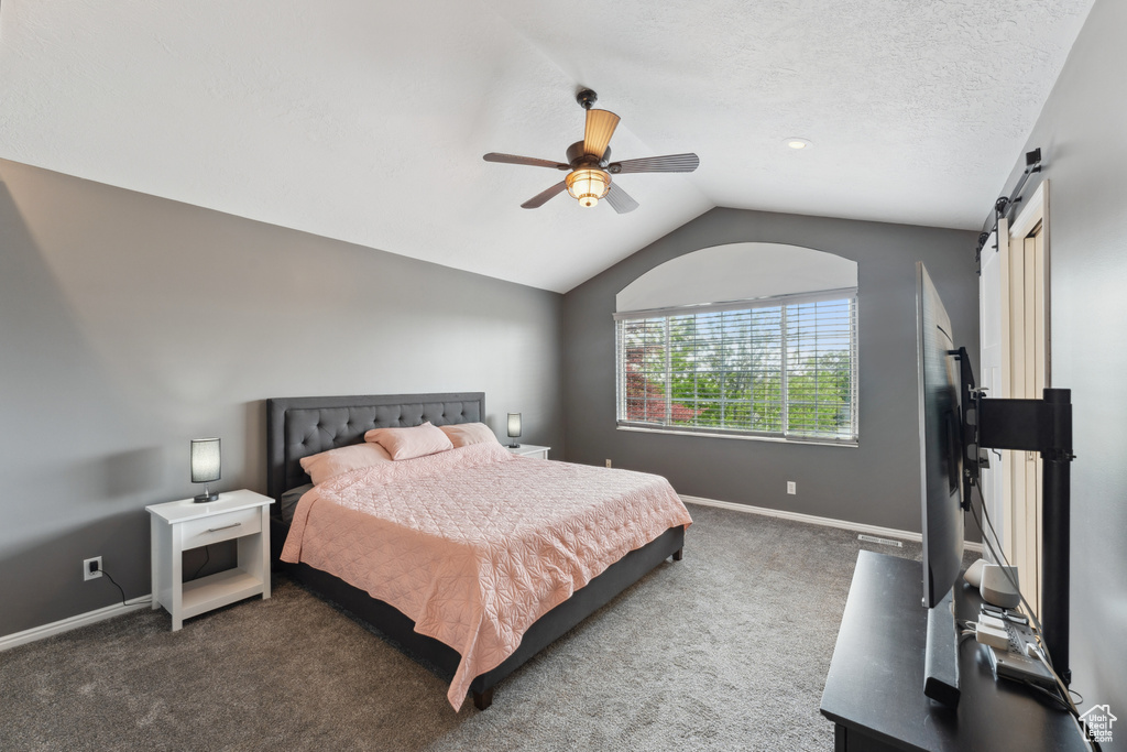 Bedroom with vaulted ceiling, carpet, a barn door, baseboards, and a ceiling fan