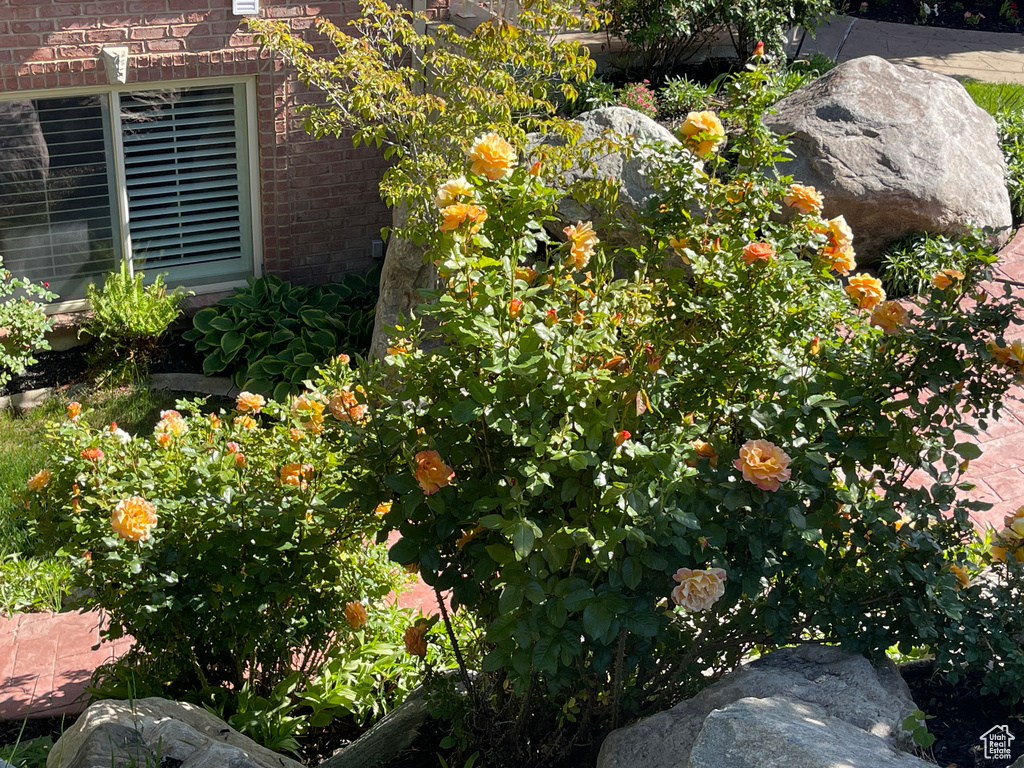 Exterior view of brick siding