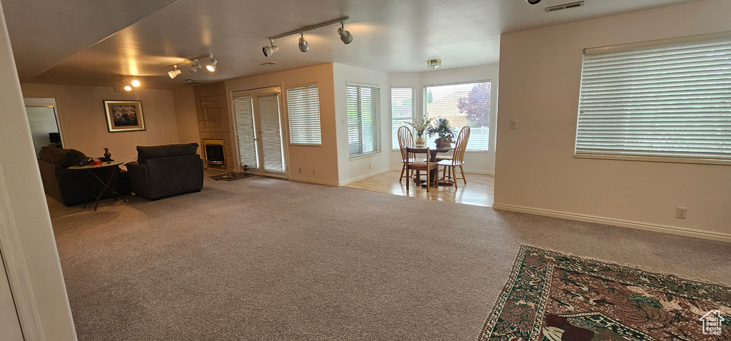 Living area featuring rail lighting, carpet, a fireplace, and baseboards
