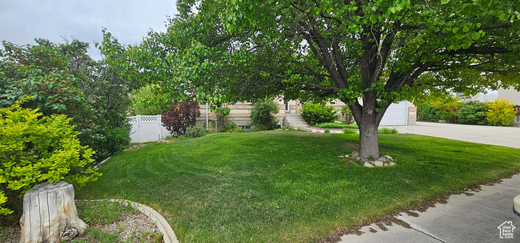 View of yard with a garage and concrete driveway