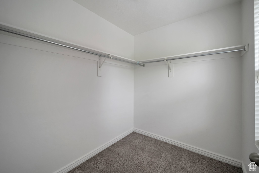 Walk in closet featuring carpet floors