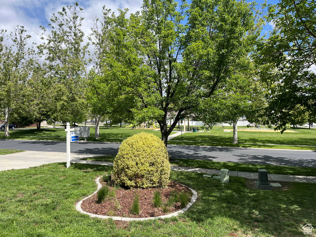 Surrounding community with a lawn