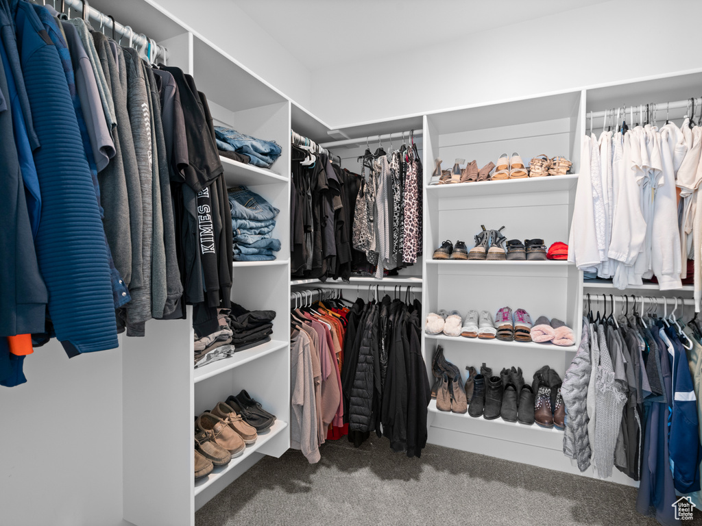 Spacious closet with carpet floors